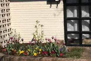 506 Saluda Ave, Columbia, SC 29205 - Photo 3