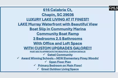 616 Calabria Court, Chapin, SC 29036 - Photo 3