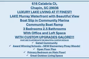 616 Calabria Ct, Chapin, SC 29036 - Photo 3