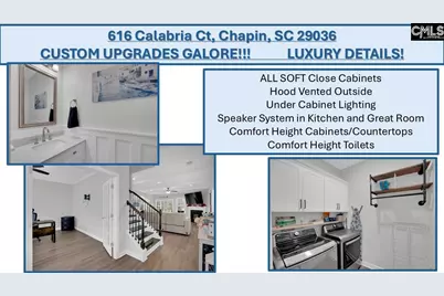 616 Calabria Court, Chapin, SC 29036 - Photo 51