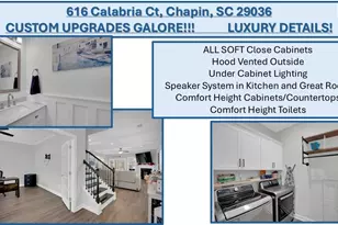 616 Calabria Ct, Chapin, SC 29036 - Photo 51