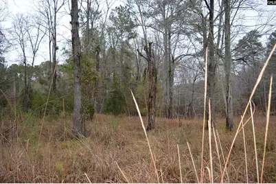 9 Nautical Drive, Camden, SC 29020 - Photo 5