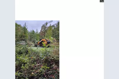 125 Meadow Lane, Eastover, SC 29044 - Photo 3