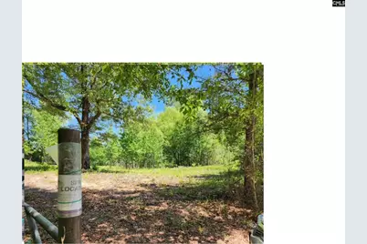 125 Meadow Lane, Eastover, SC 29044 - Photo 9