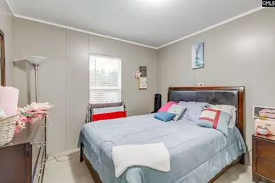 10160 Hornsboro Road, Mount Croghan, SC 29727 - Photo 11