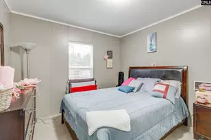 10160 Hornsboro Rd, Mount Croghan, SC 29727 - Photo 11