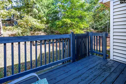 251 Shoreline Drive, Columbia, SC 29212 - Photo 29
