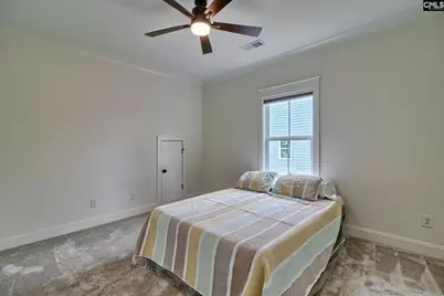 816 Elms Spiney Lane, Chapin, SC 29036 - Photo 35