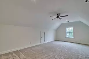 816 Elms Spiney Ln, Chapin, SC 29036 - Photo 37