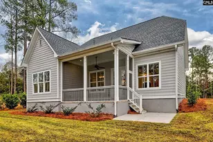 816 Elms Spiney Ln, Chapin, SC 29036 - Photo 39