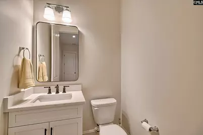 816 Elms Spiney Lane, Chapin, SC 29036 - Photo 29