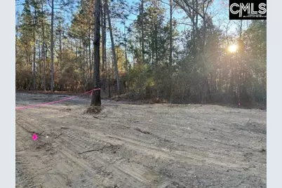 1153 Marcellus Road, Leesville, SC 29070 - Photo 11