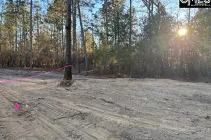 1153 Marcellus Rd, Leesville, SC 29070 - Photo 11