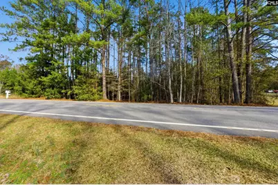 Hwy Sc 215 Tract D, Jenkinsville, SC 29065 - Photo 11