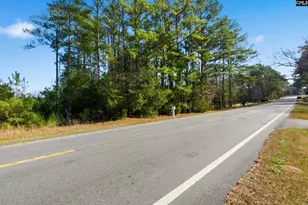 Hwy Sc 215 Tract D, Jenkinsville, SC 29065 - Photo 1