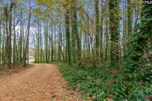 1456 Nursery Rd, Little Mountain, SC 29075 - Photo 27