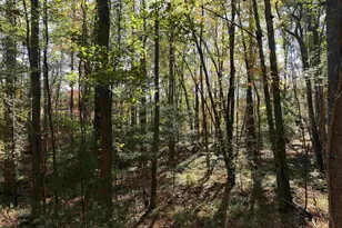 22 Creekside Wy, Ridgeway, SC 29130 - Photo 81