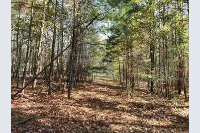 22 Creekside Way, Ridgeway, SC 29130 - Photo 75