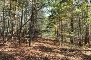 22 Creekside Wy, Ridgeway, SC 29130 - Photo 75