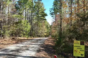 22 Creekside Wy, Ridgeway, SC 29130 - Photo 77