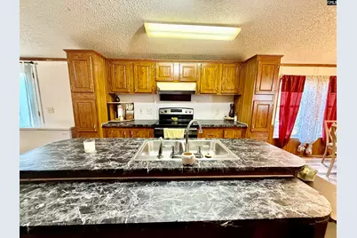 427 Syrup Mill Road, Ridgeway, SC 29130 - Photo 9