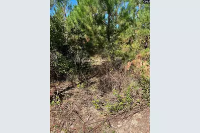 Bff 1E Brunson Teal Road Bff 1E #BFF 1E, Patrick, SC 29584 - Photo 3