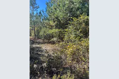 Bff 1E Brunson Teal Road Bff 1E #BFF 1E, Patrick, SC 29584 - Photo 27