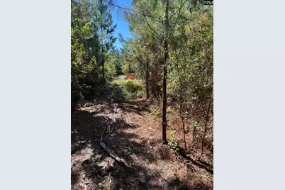 Bff 1E Brunson Teal Road Bff 1E #BFF 1E, Patrick, SC 29584 - Photo 9