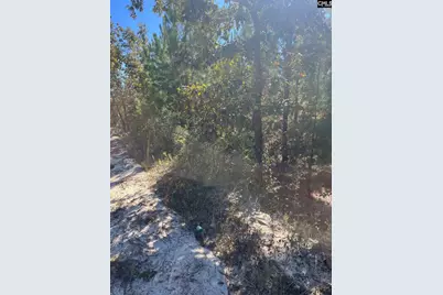 Bff 1E Brunson Teal Road Bff 1E #BFF 1E, Patrick, SC 29584 - Photo 25