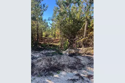 Bff 1E Brunson Teal Road Bff 1E #BFF 1E, Patrick, SC 29584 - Photo 29