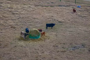 316 Daniel Padgett Rd, Monetta, SC 29129 - Photo 63