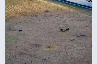 316 Daniel Padgett Road, Monetta, SC 29129 - Photo 61