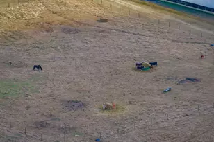 316 Daniel Padgett Rd, Monetta, SC 29129 - Photo 61