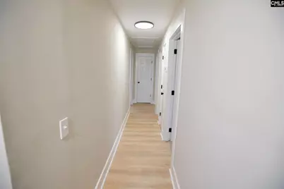 213 Pineview Drive, Swansea, SC 29160 - Photo 57