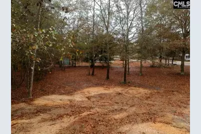 213 Pineview Drive, Swansea, SC 29160 - Photo 13