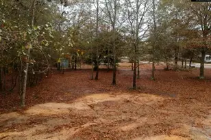 213 Pine View Dr, Swansea, SC 29160 - Photo 13