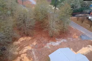 213 Pine View Dr, Swansea, SC 29160 - Photo 19