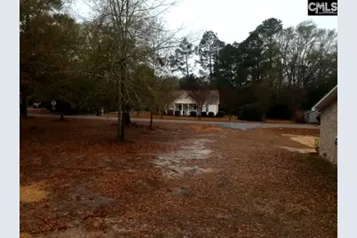 213 Pineview Drive, Swansea, SC 29160 - Photo 15