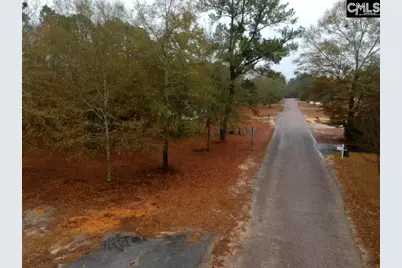 213 Pineview Drive, Swansea, SC 29160 - Photo 17