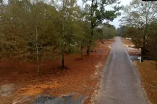 213 Pine View Dr, Swansea, SC 29160 - Photo 17