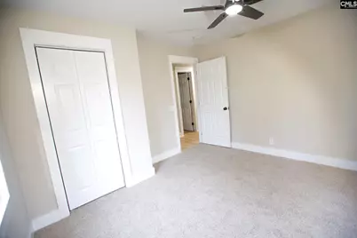 213 Pineview Drive, Swansea, SC 29160 - Photo 69