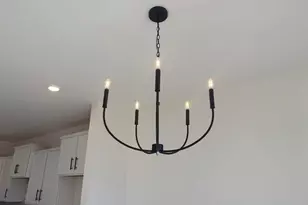 571 Griffon Dr, Chapin, SC 29036 - Photo 9