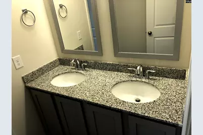 224 Olde Farm Road, Lexington, SC 29072 - Photo 13