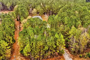 109 Wicker Rd, Pomaria, SC 29126 - Photo 51