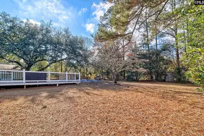 150 Timmerman Road, Swansea, SC 29160 - Photo 35