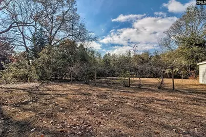 150 Timmerman Road, Swansea, SC 29160 - Photo 37