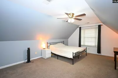 412 Mana Vista Court, Lexington, SC 29072 - Photo 53