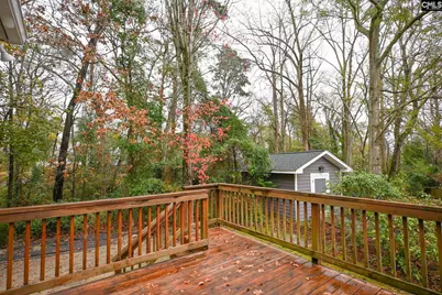 412 Mana Vista Court, Lexington, SC 29072 - Photo 63