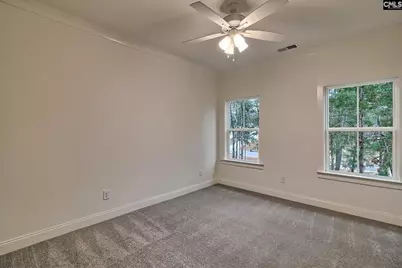 908 Salisbury Court, Chapin, SC 29036 - Photo 37