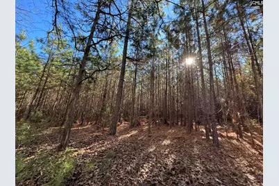 Sc 215 Highway, Jenkinsville, SC 29065 - Photo 31